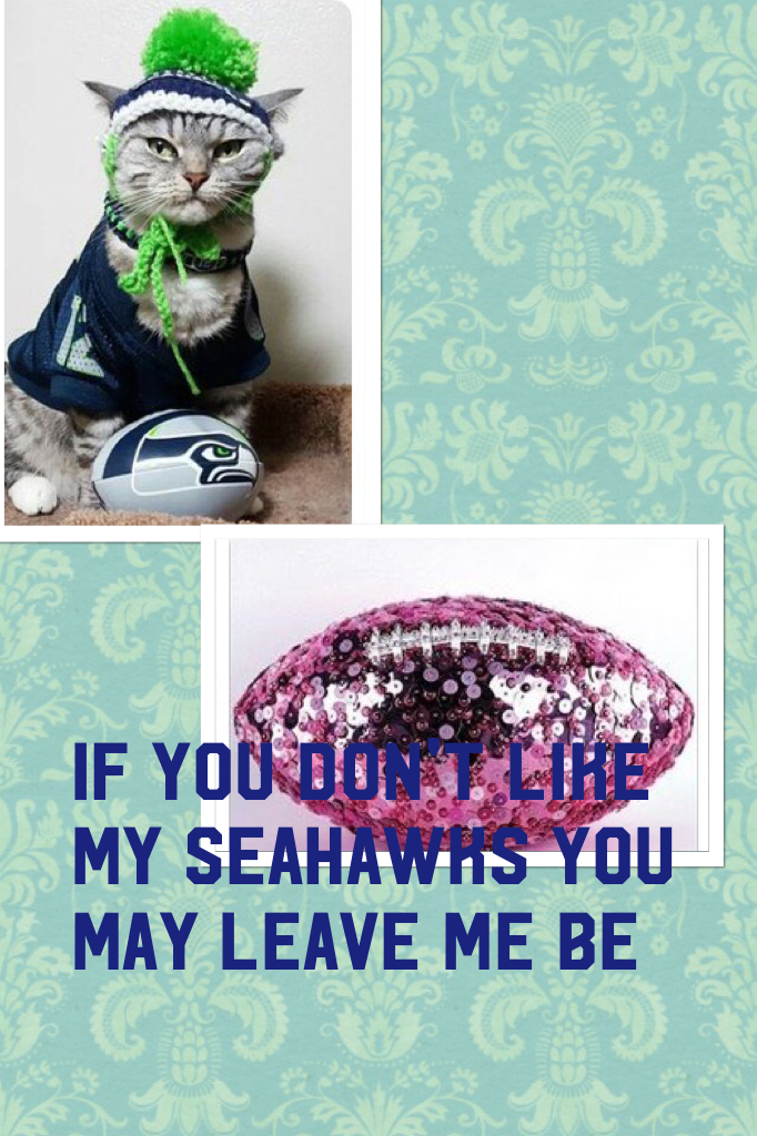 If you don't like my Seahawks you may leave me be 