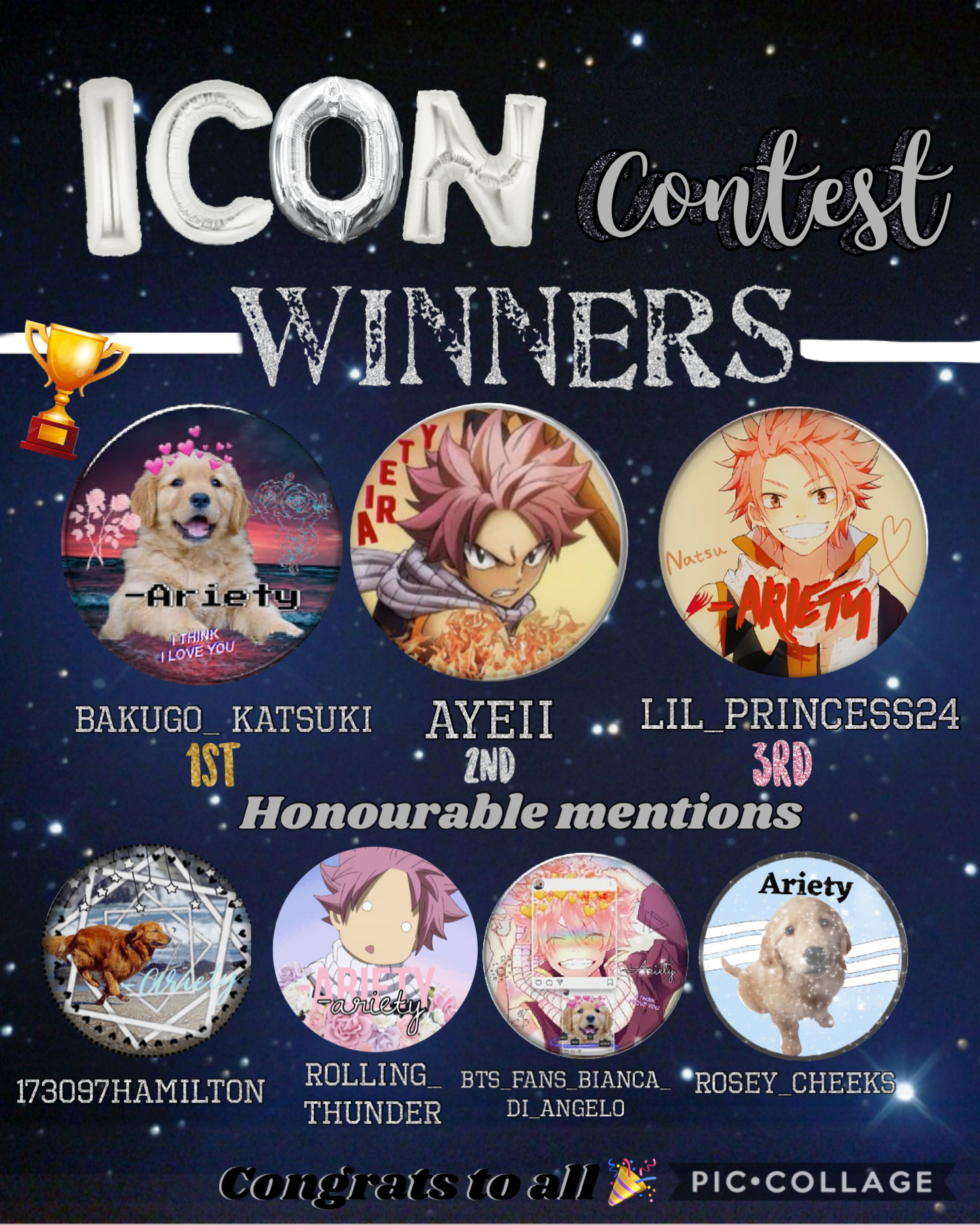 Icon contest winners 