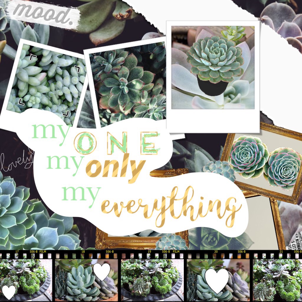 🍃 tap for more 🍃

hiya! this was an attempt at a detailed collage that i got tire of about halfway through lol. got my nails done with my mom for early mother’s day. it was pretty 👌. kinda wanna be more simple for next collage. any celebs you’d like me to
