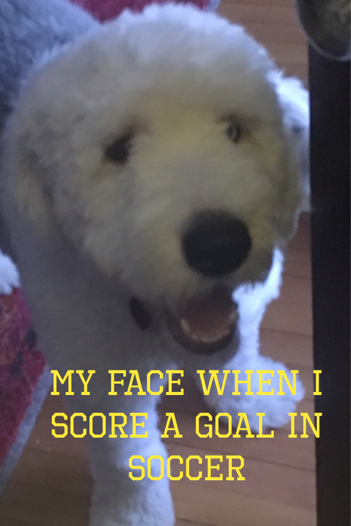 My face when I score a goal in soccer
