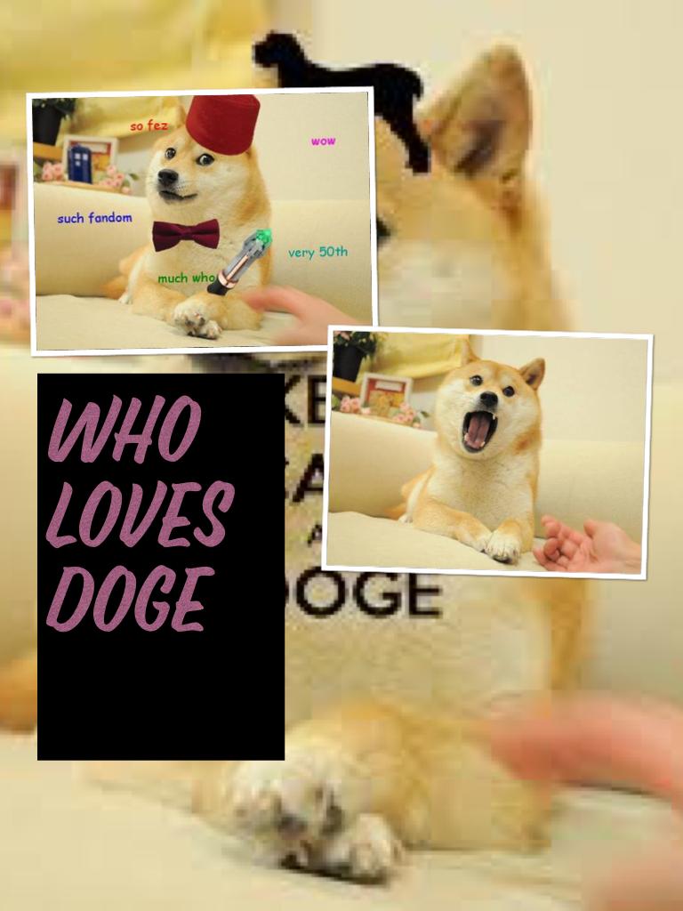 Who loves doge 
