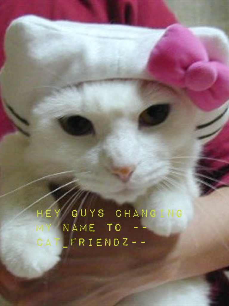 Hey guys changing my name to --Cat_Friendz--