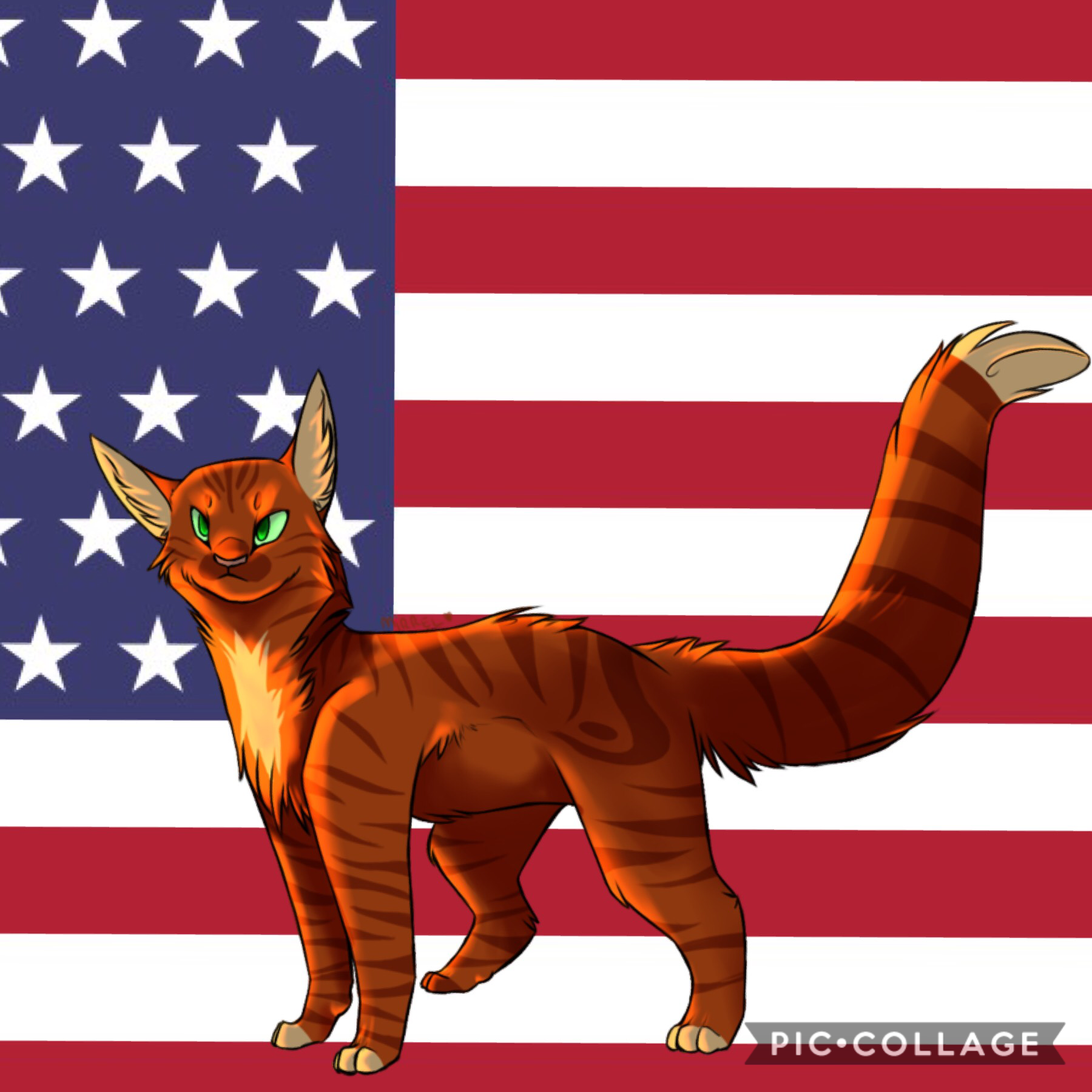 USA Squirrelflight pride!