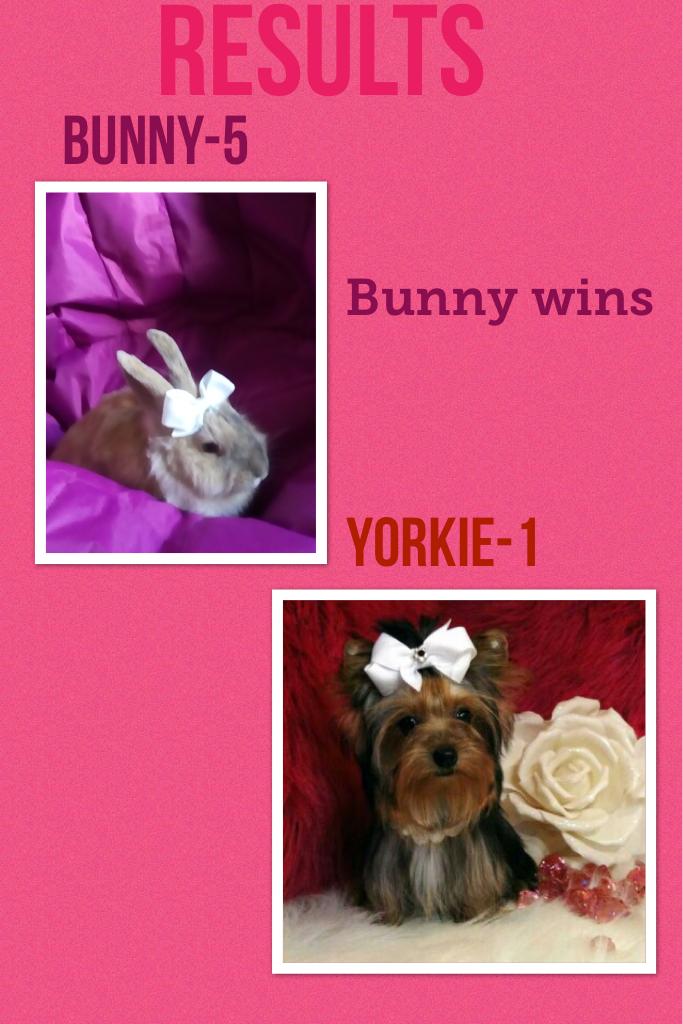 Results my bunny won
