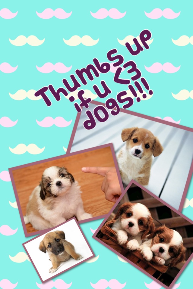 Thumbs up if u <3 dogs!!!