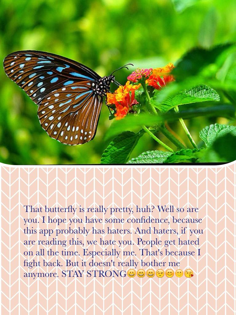 That butterfly is really pretty, huh? Well so are you. I hope you have some confidence, because this app probably has haters. And haters, if you are reading this, we hate you. People get hated on all the time. Especially me. That's because I fight back. B