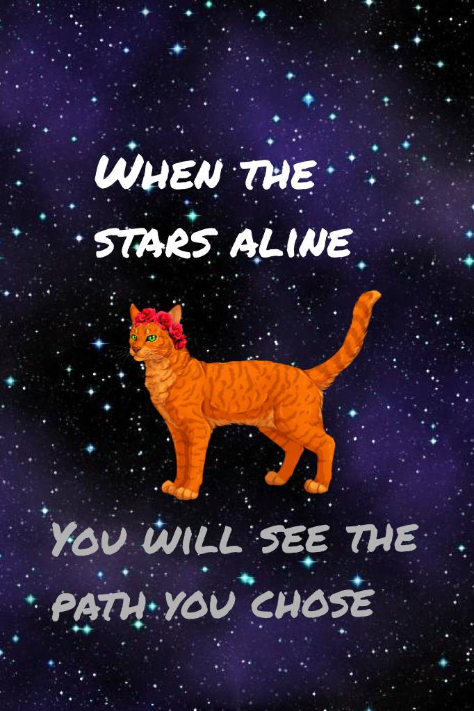 When the stars aline 