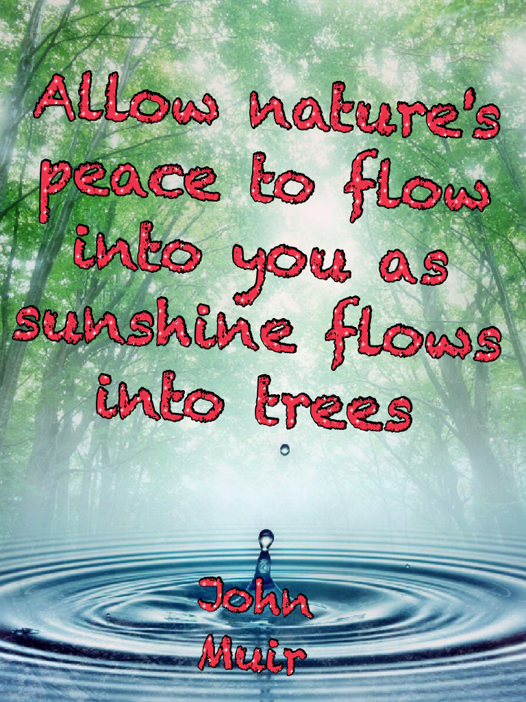 Quote from John Muir