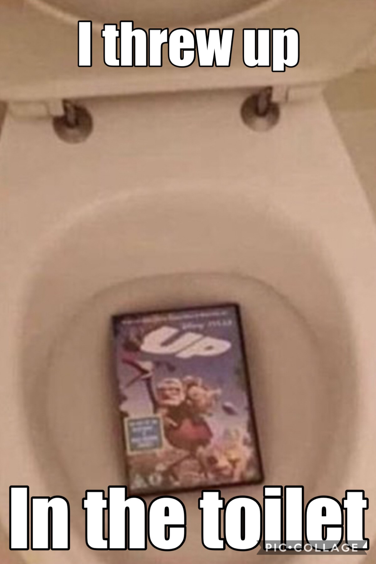Toilet meme