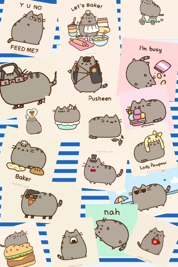 Tap!



Comment what your fav pusheen is ever🦄🍍😜😍👍🏻🐕🐴🐶🎈😘
