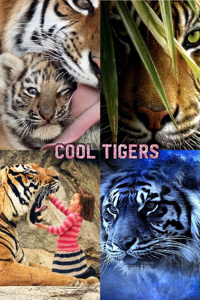 Cool tigers this is what inspires me what inspires you