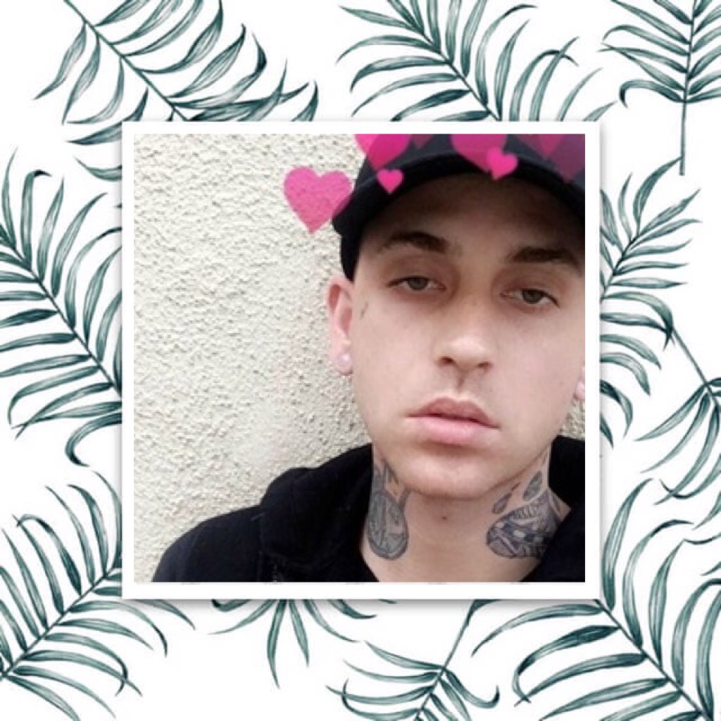 also hi i stan blackbear so my username is from the song 'sniffing vicodin in paris' if anyone's wondering (also @vicodininparjs) is my twitter user if u all want to follow :) x