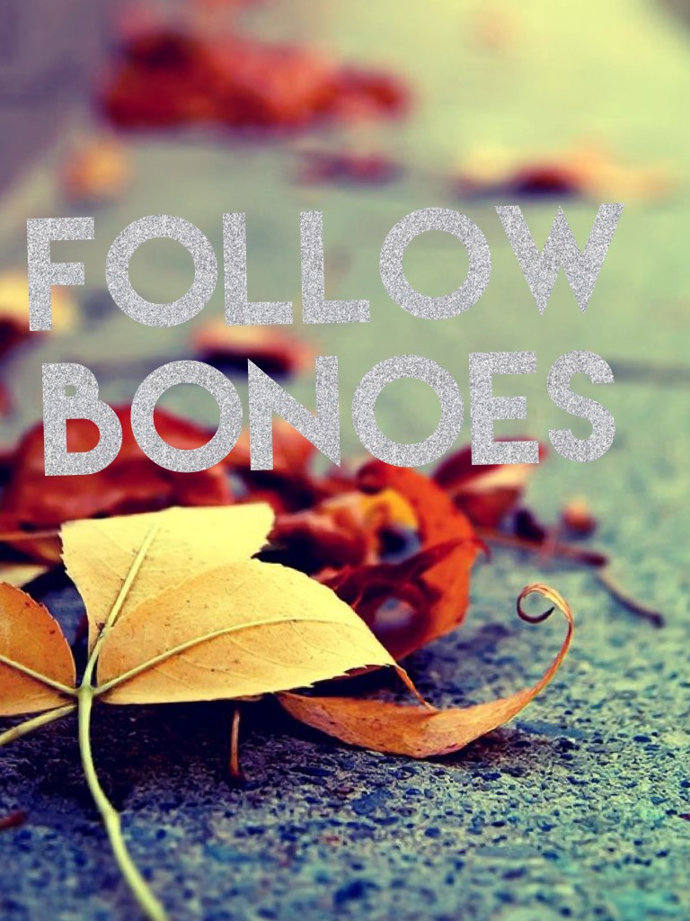 Follow bonoes 