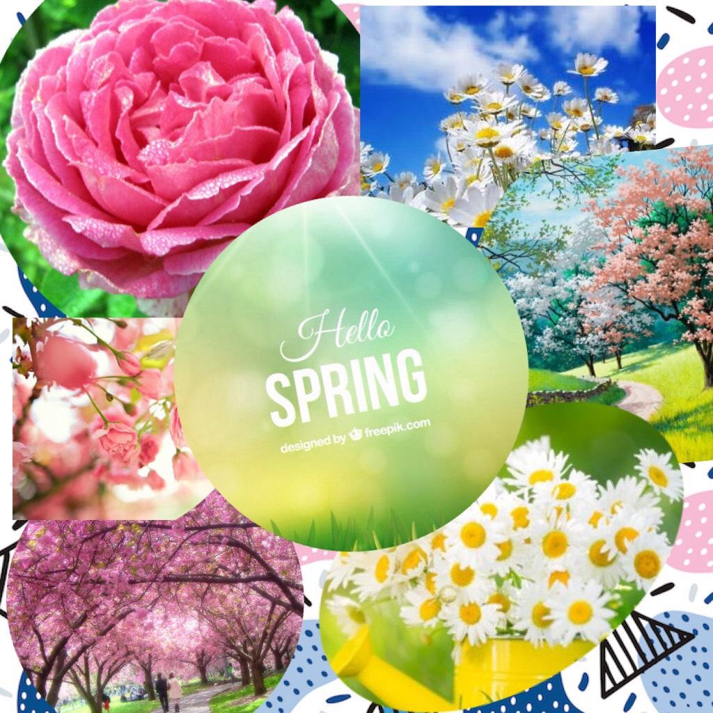 Hello Spring!! 🌼🌼