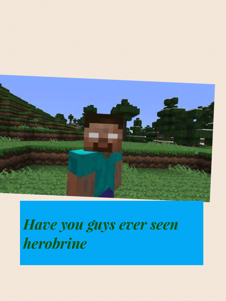 Have you guys ever seen herobrine