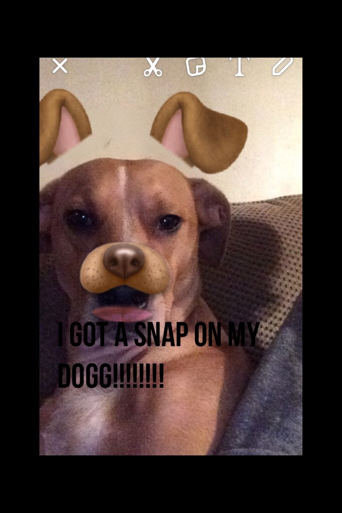 I GOT A SNAP ON MY DOGG!!!!!!!! 