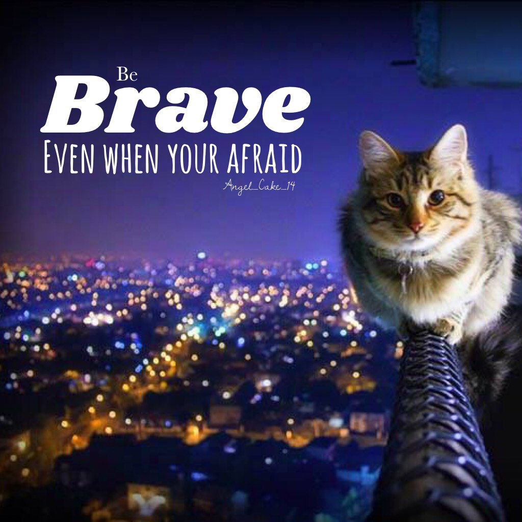 Brave 