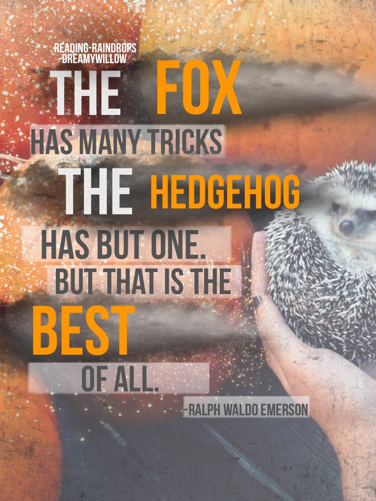 🦊Tap🦊
Reading-raindrops did an amazing job at choosing the quote and background and I did the collage. Hope you like it!