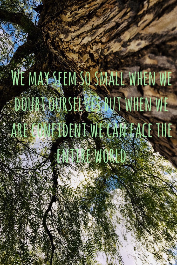 We may seem so small when we doubt ourselves but when we are confident we can face the entire world