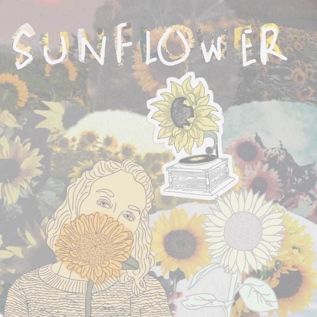 ☆[tap]☆
A sunflower edit! This is kinda bad but I wanted to make a proper collage. Sunflower is in my name so it's only right. 