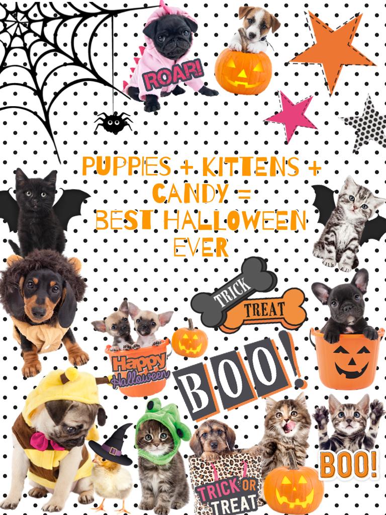 Studio pets Halloween stickers = 😻🐶🎃🍬👻