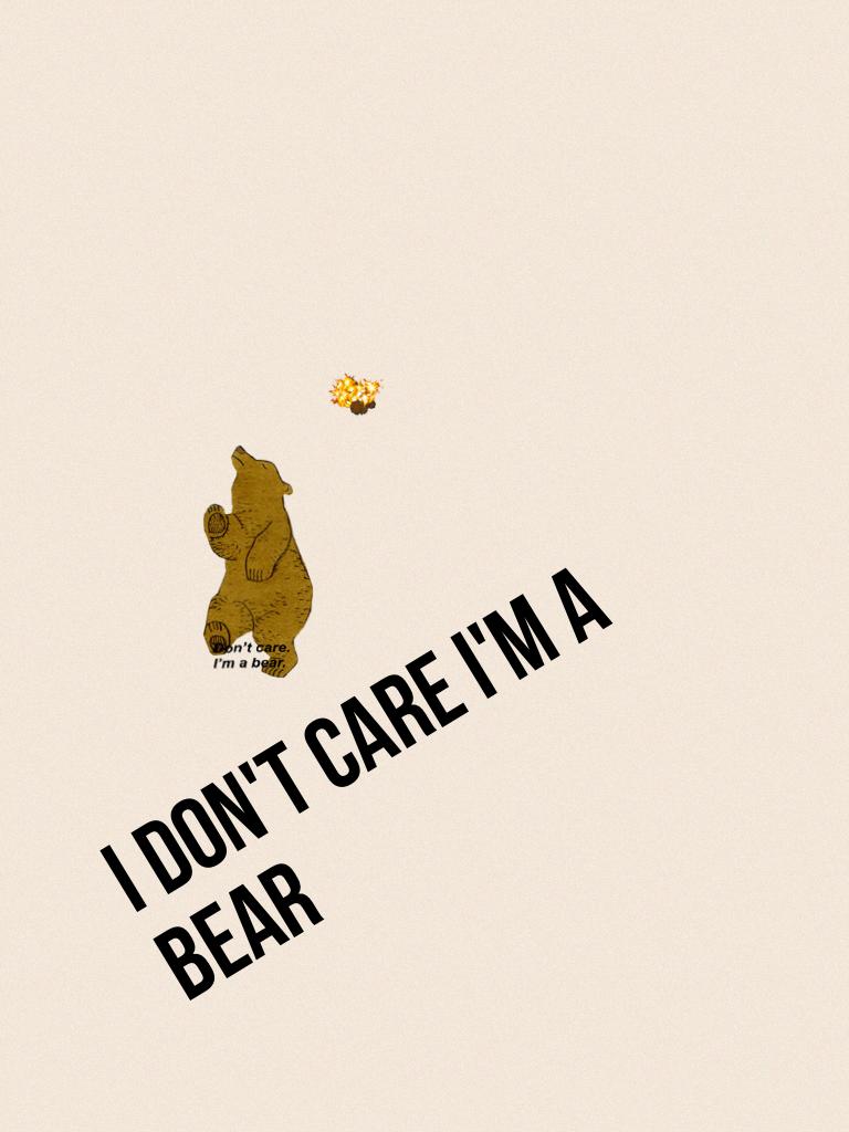 I don't care I'm a bear 