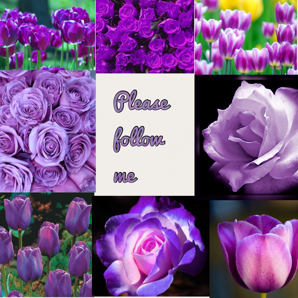 These are my favorite flowers tulips and roses right in the comment thing what your favorite flower is 