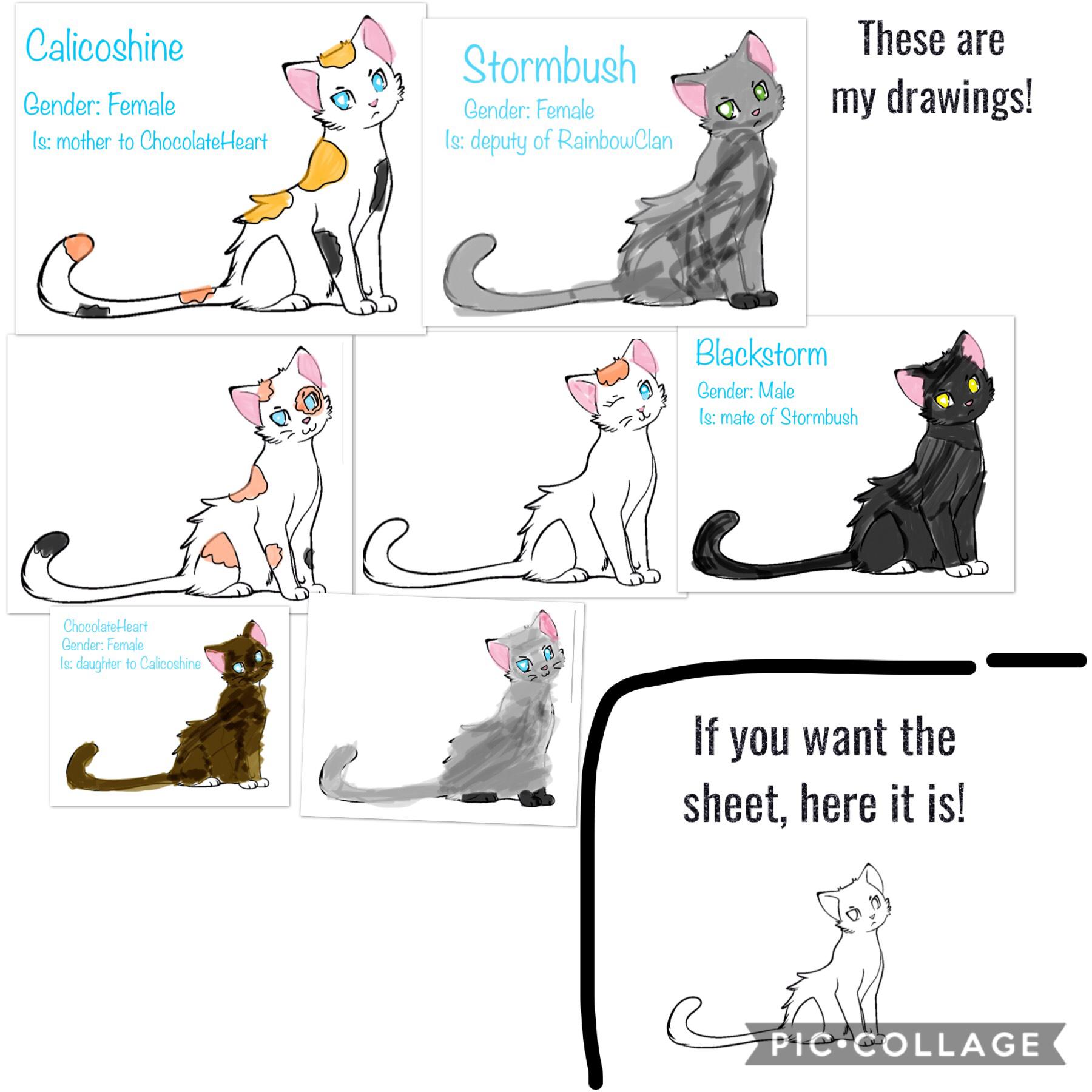 Here’s something to tell you about cats!