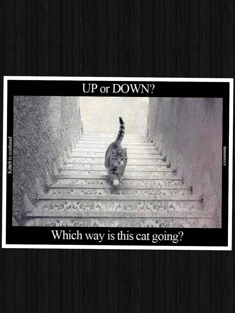 Which way, up or down?
