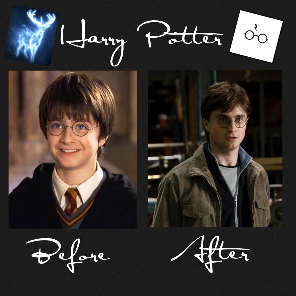 Harry Potter⚡️