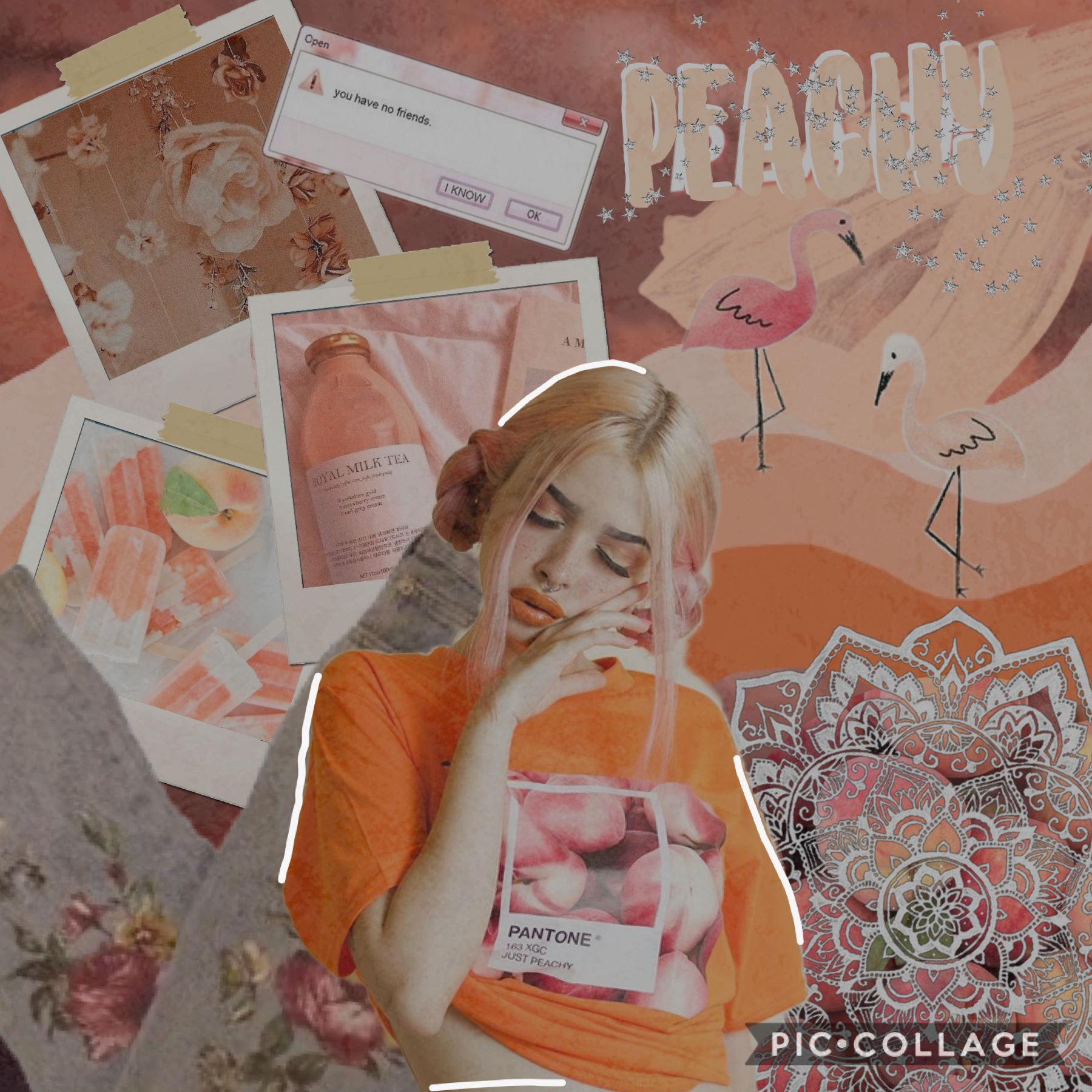 ✨tap✨ 
Ok so I tried a peachy aesthetic 
But I don’t think it’s my type of aesthetic 
So I’ll keep trying y’all! 
And I hope y’all like this!✨