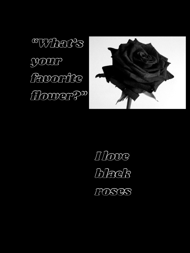 I love black roses 