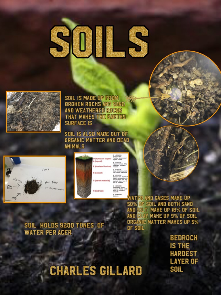 Soils 