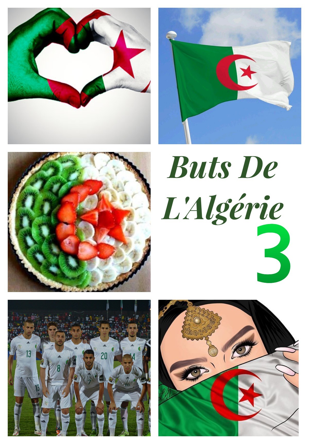 Buts De L'Algérie 