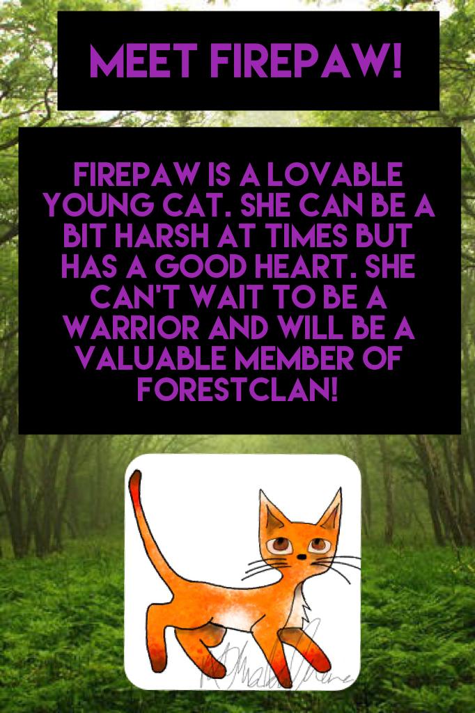 Meet Firepaw!