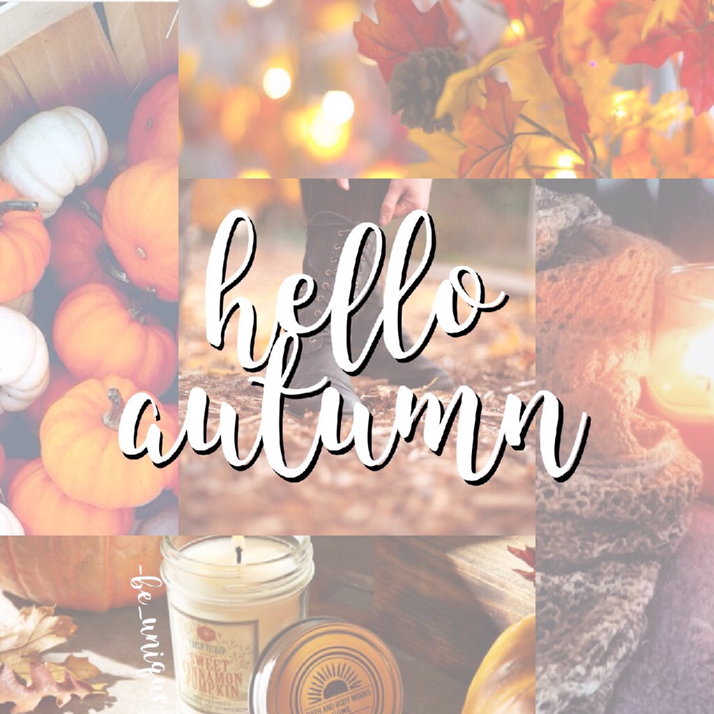 hello autumn 🍂 