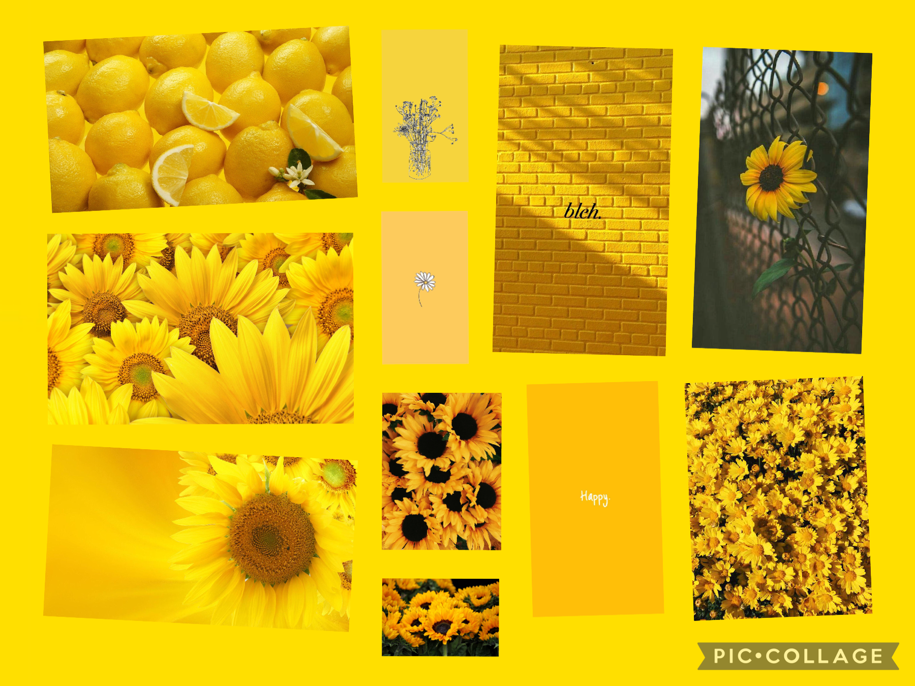 Yellow 🌞