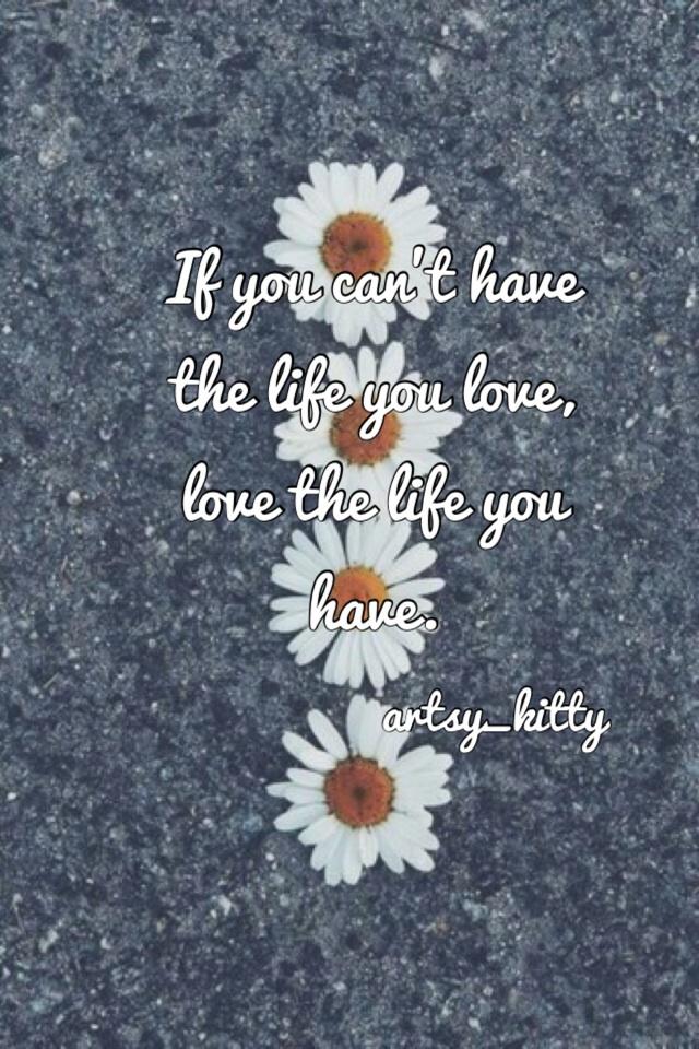 If you can't have the life you love, love the life you have.