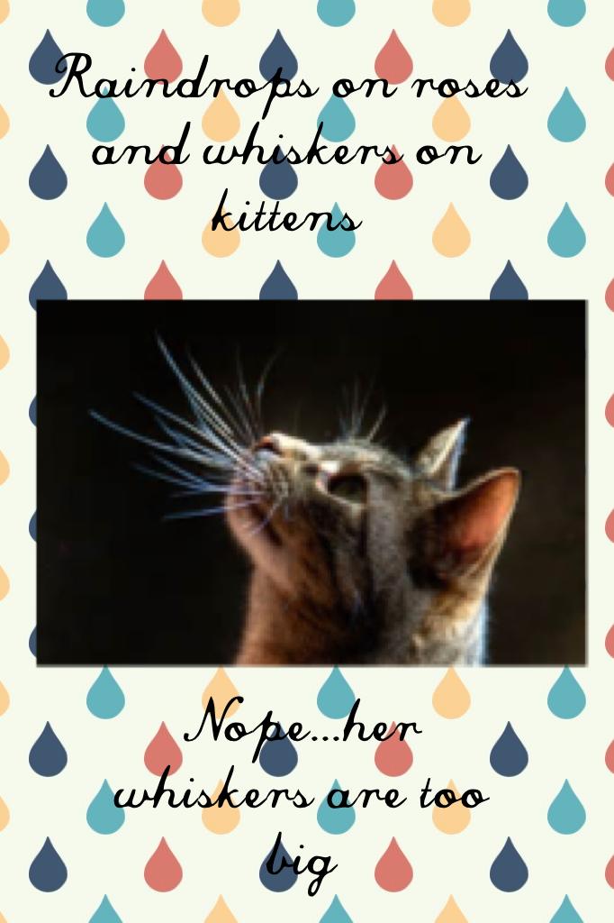 Raindrops on roses and whiskers on kittens