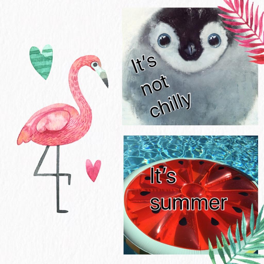 It’s summer
