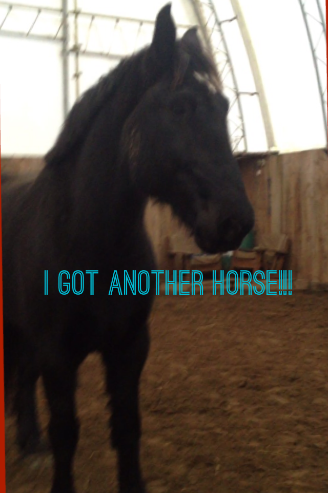 I GOT ANOTHER HORSE!!!
