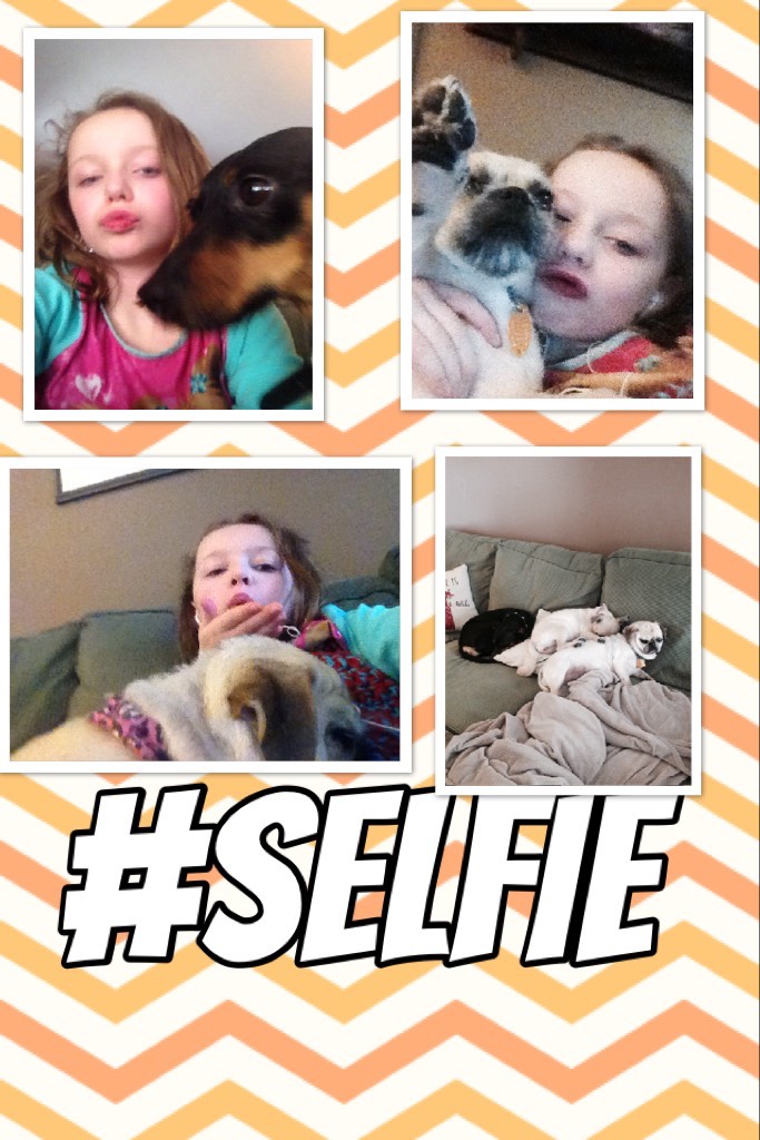 #selfie I love my dogs!!!!🐶🐩🐕