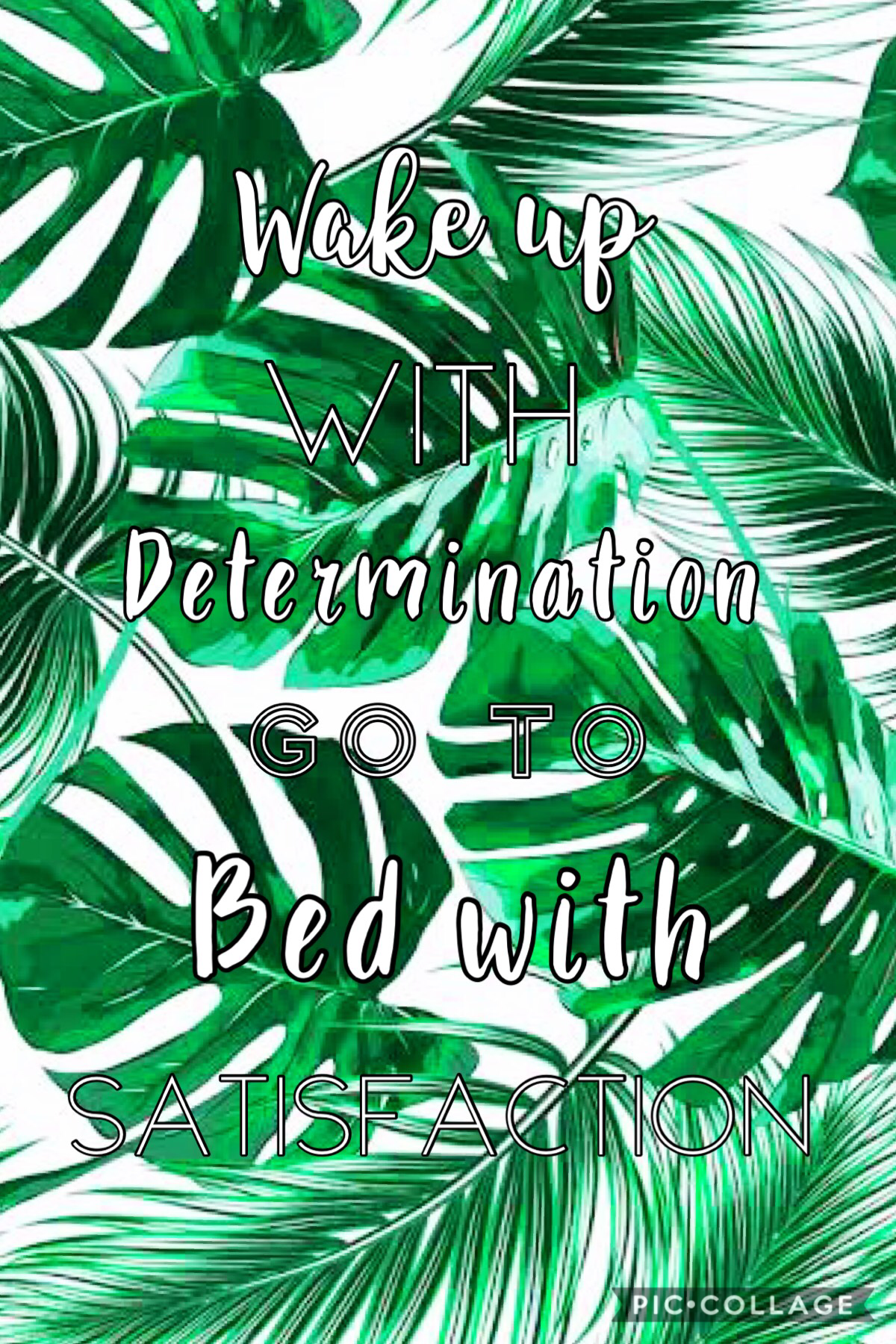 Wake up with determination go to bed with satisfaction! ❤️🌴🌿