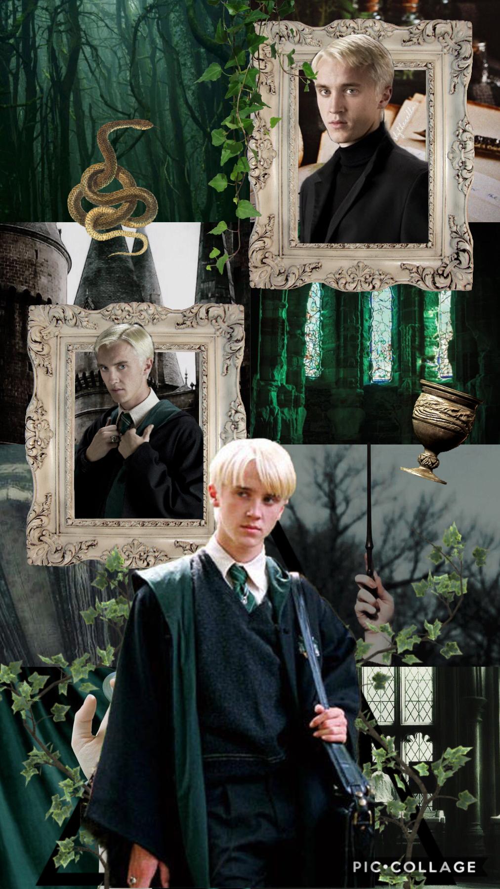 Draco has been all over tiktok so I thought I’d bring him here too 😂