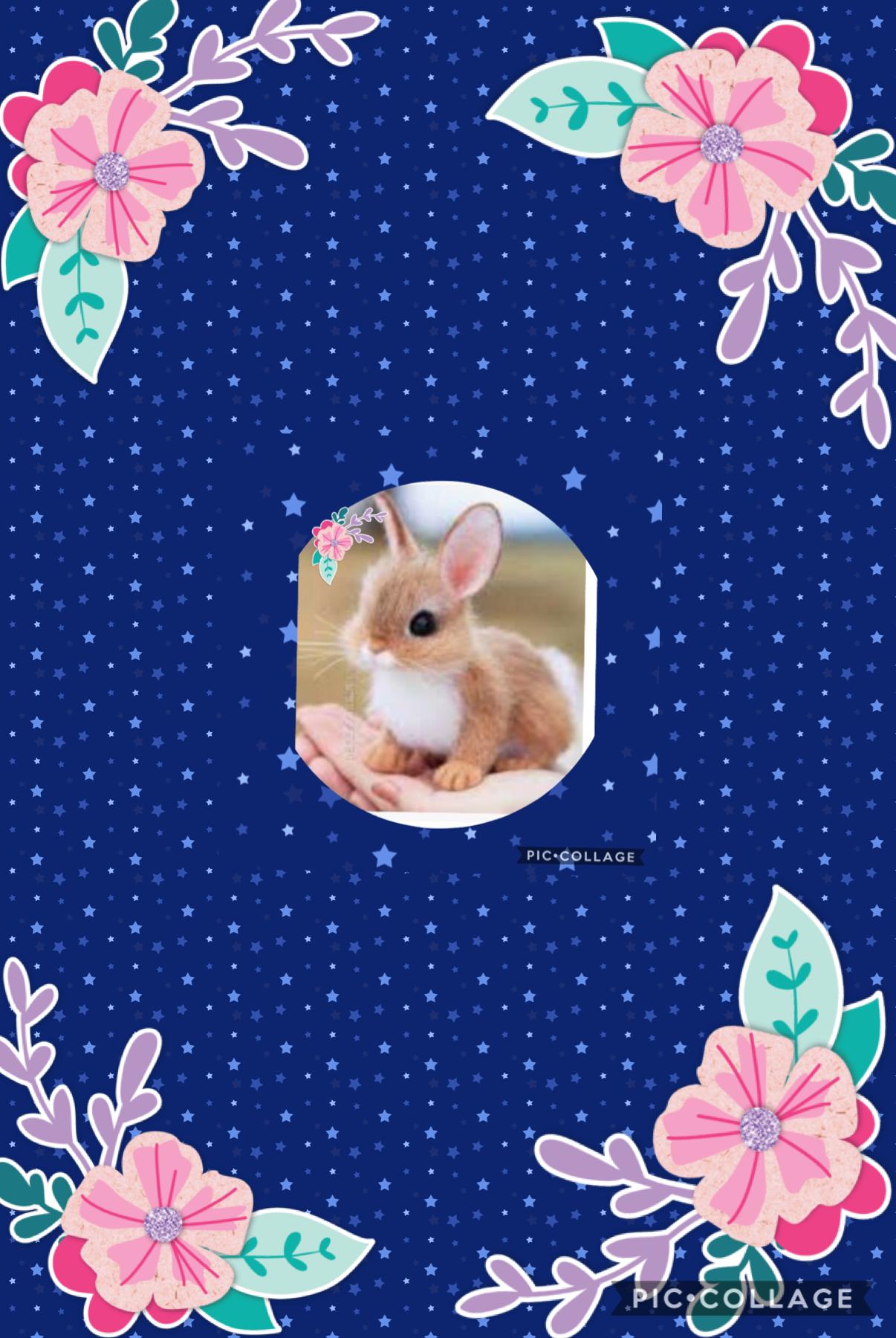 Bunny’s that I love