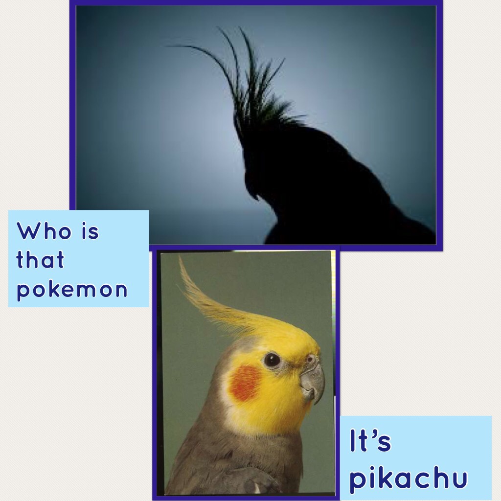 It’s pikachu