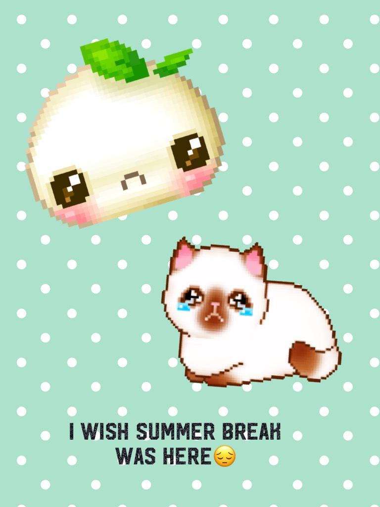 I wish summer break         was here😔