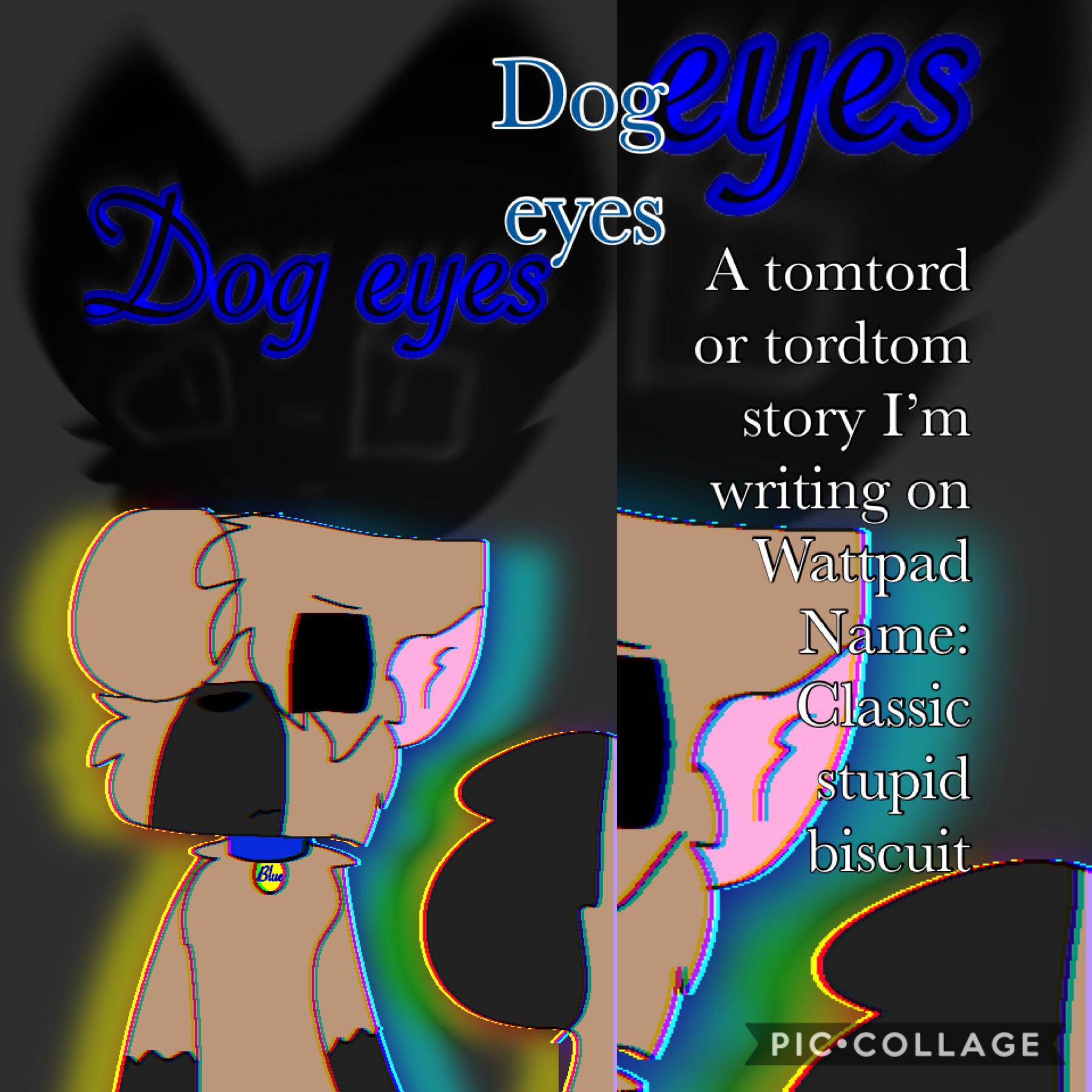 Dog eyes :3
