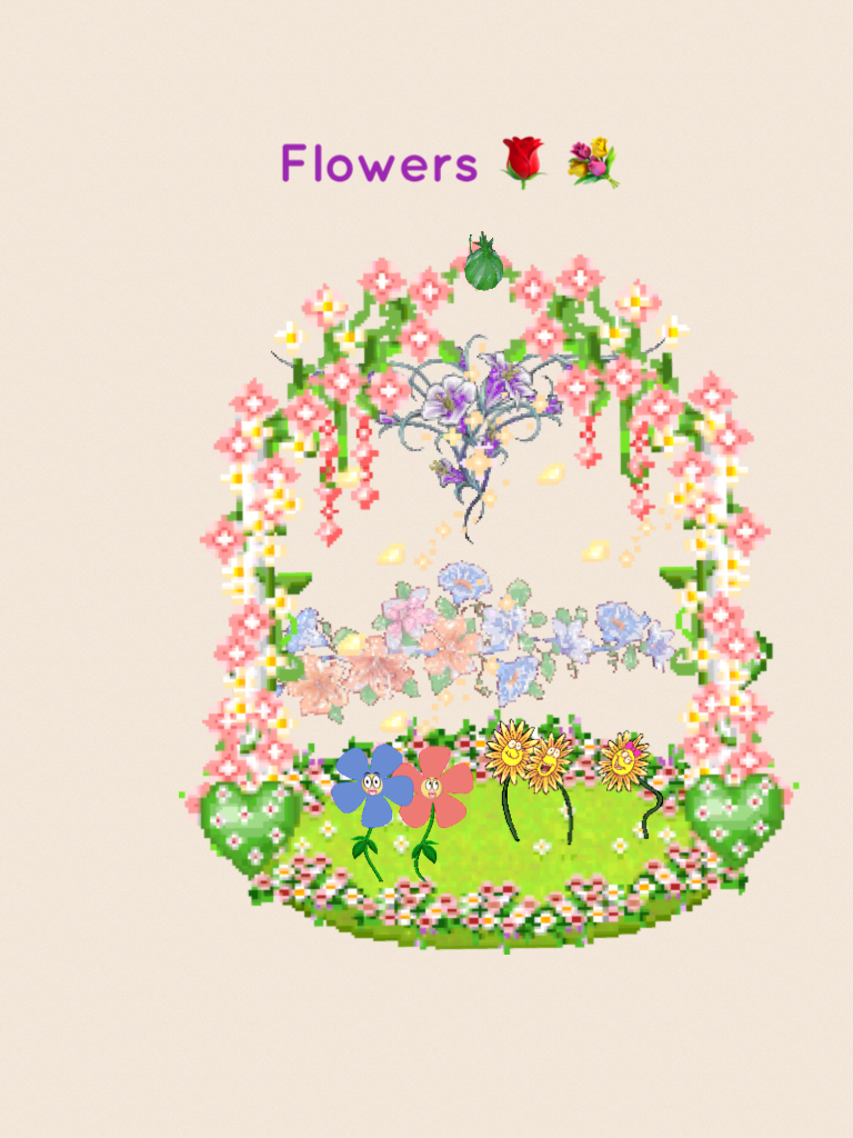 Flowers 🌹 💐