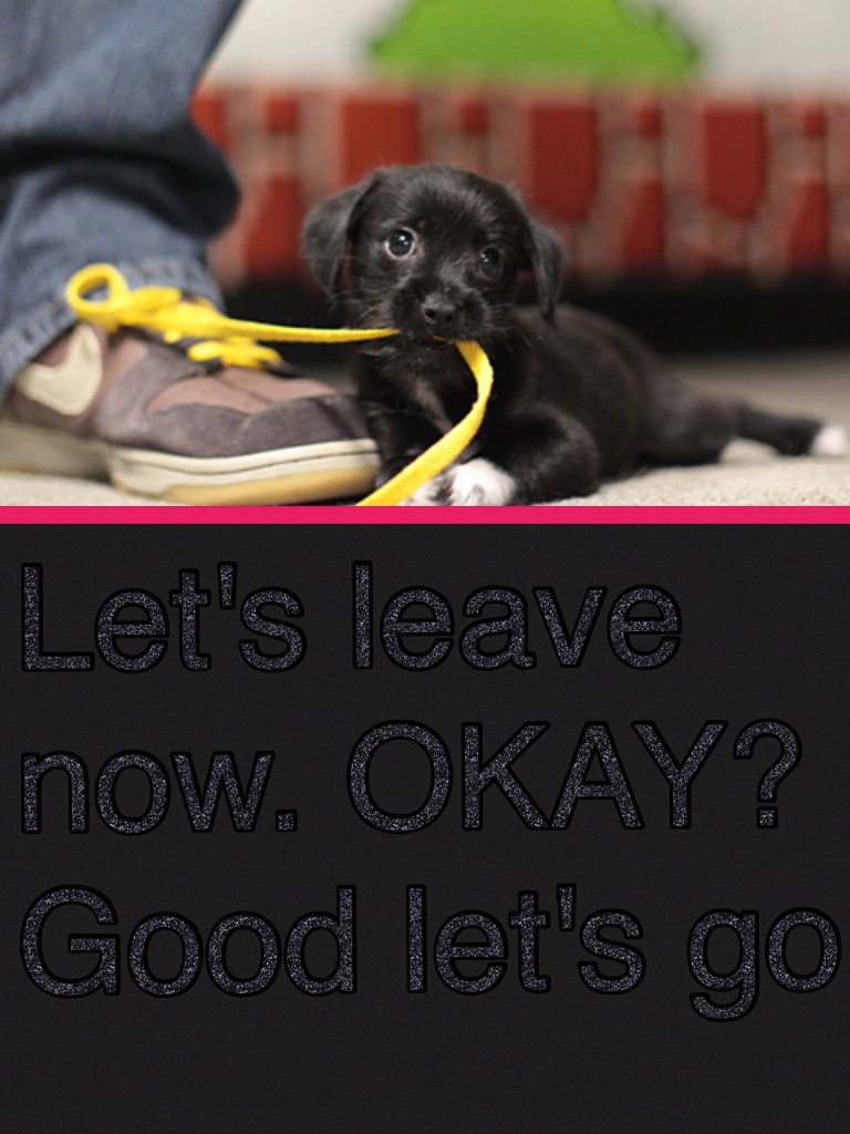 Let's leave now. OKAY? Good let's go 